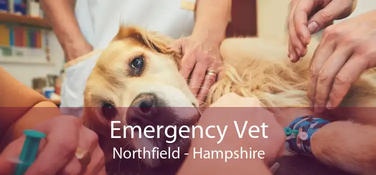 Emergency Vet Northfield - Hampshire