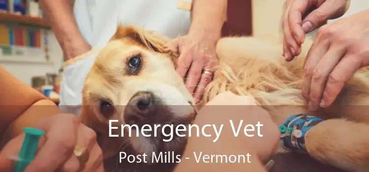 Emergency Vet Post Mills - Vermont