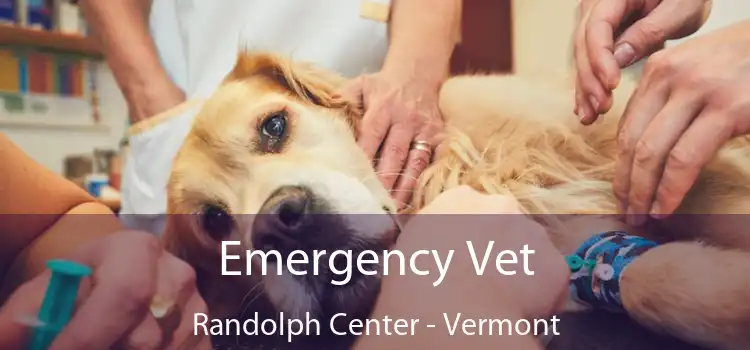 Emergency Vet Randolph Center - Vermont