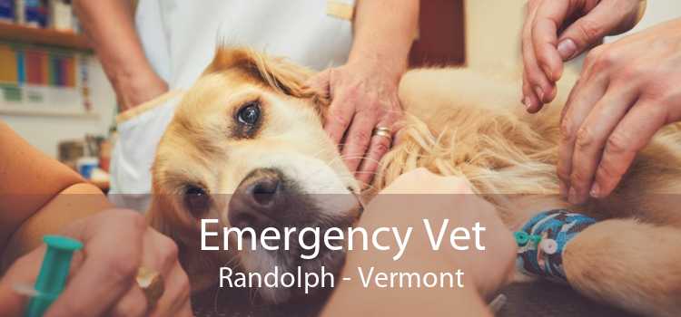 Emergency Vet Randolph - Vermont