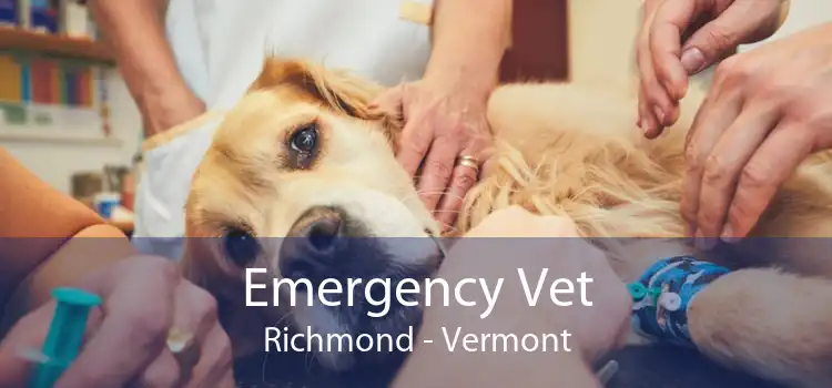 Emergency Vet Richmond - Vermont