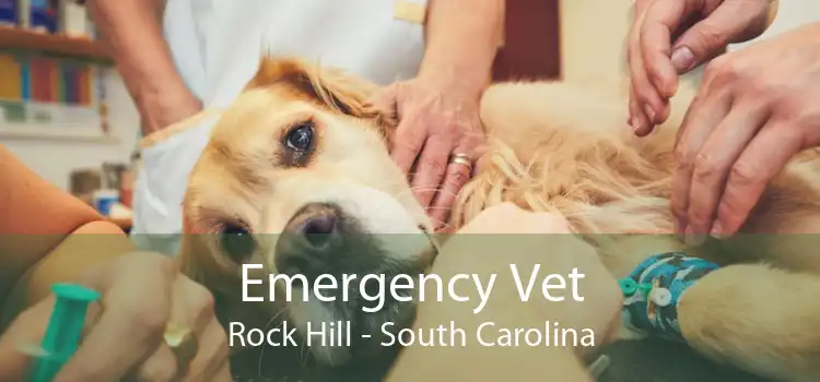 Emergency Vet Rock Hill - South Carolina