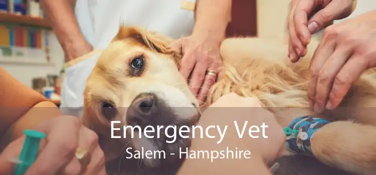 Emergency Vet Salem - Hampshire