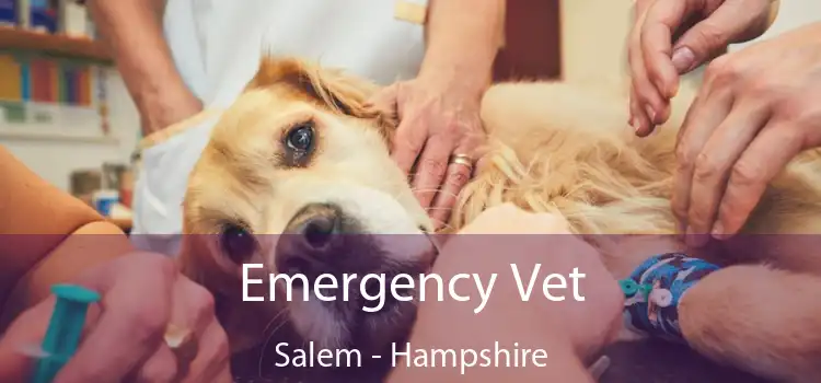 Emergency Vet Salem - Hampshire