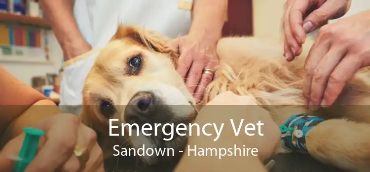 Emergency Vet Sandown - Hampshire