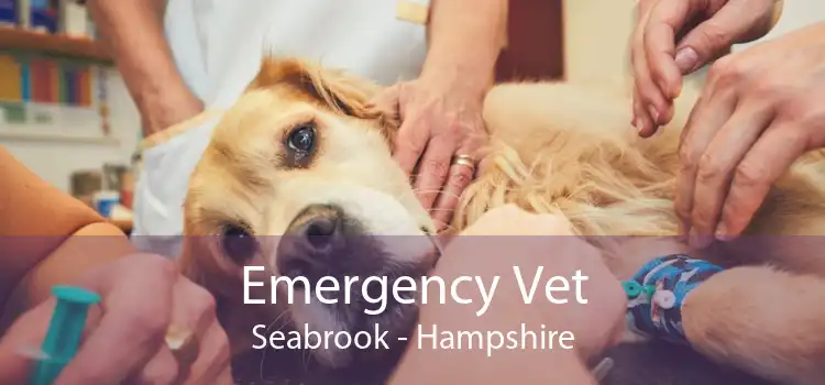 Emergency Vet Seabrook - Hampshire