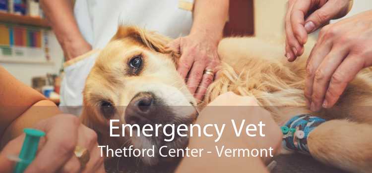 Emergency Vet Thetford Center - Vermont