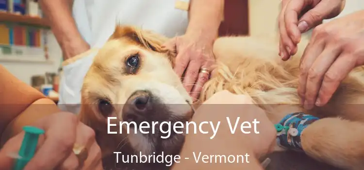 Emergency Vet Tunbridge - Vermont