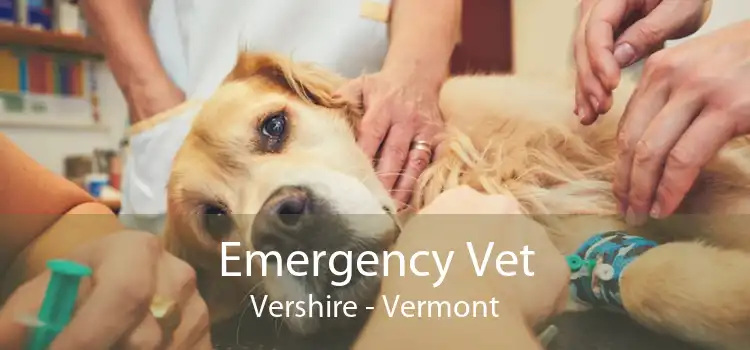 Emergency Vet Vershire - Vermont