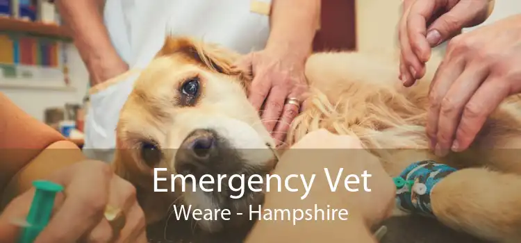 Emergency Vet Weare - Hampshire