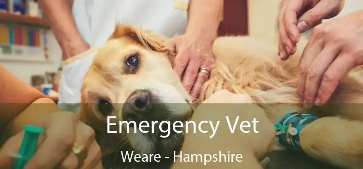 Emergency Vet Weare - Hampshire