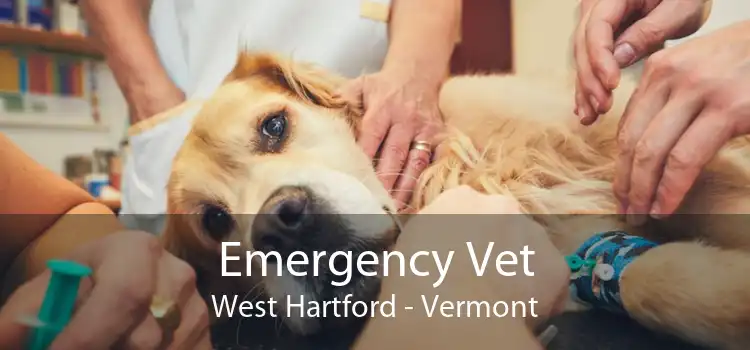 Emergency Vet West Hartford - Vermont
