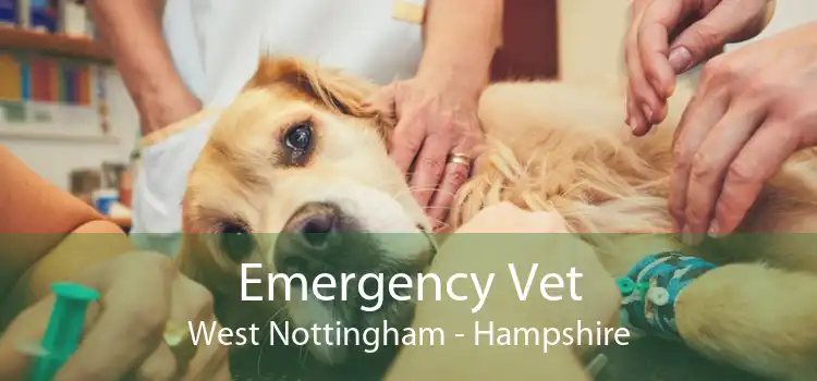 Emergency Vet West Nottingham - Hampshire
