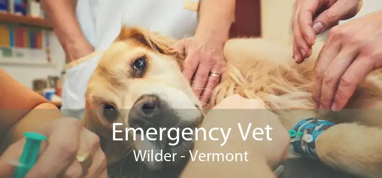 Emergency Vet Wilder - Vermont