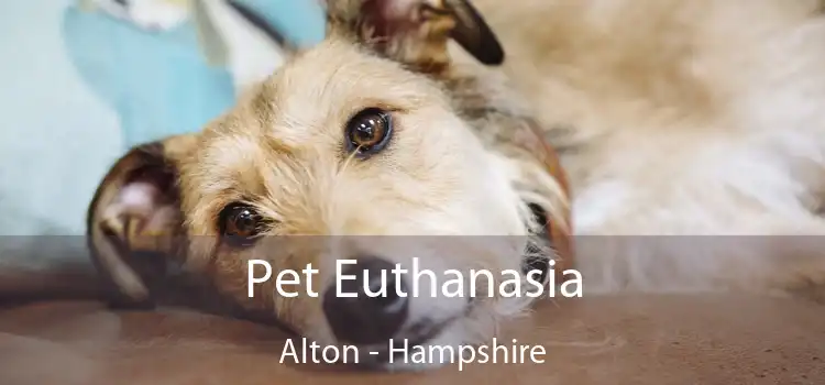 Pet Euthanasia Alton - Hampshire