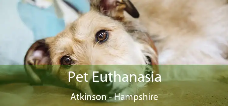 Pet Euthanasia Atkinson - Hampshire