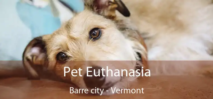 Pet Euthanasia Barre city - Vermont