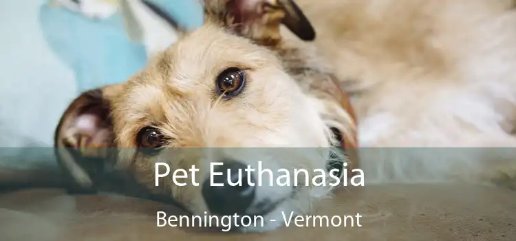 Pet Euthanasia Bennington - Vermont