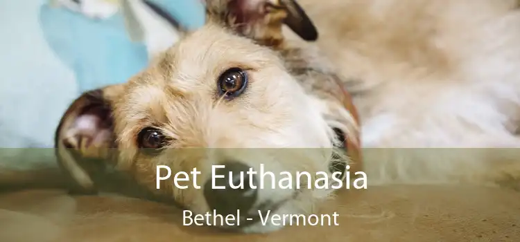 Pet Euthanasia Bethel - Vermont