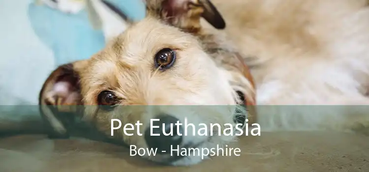 Pet Euthanasia Bow - Hampshire