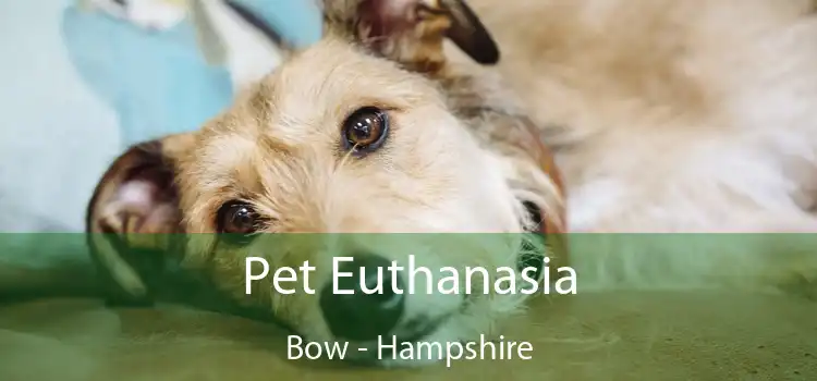 Pet Euthanasia Bow - Hampshire