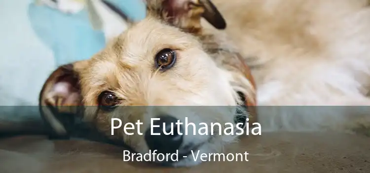 Pet Euthanasia Bradford - Vermont