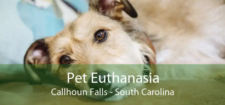 Pet Euthanasia Callhoun Falls - South Carolina
