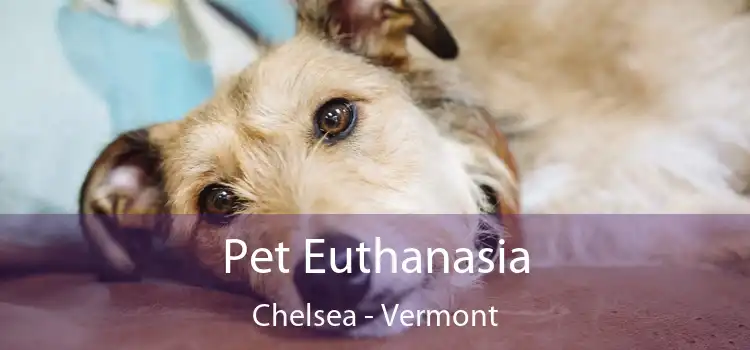 Pet Euthanasia Chelsea - Vermont