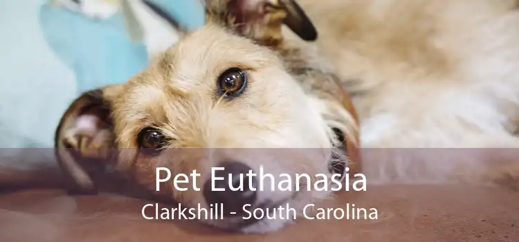 Pet Euthanasia Clarkshill - South Carolina