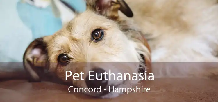 Pet Euthanasia Concord - Hampshire