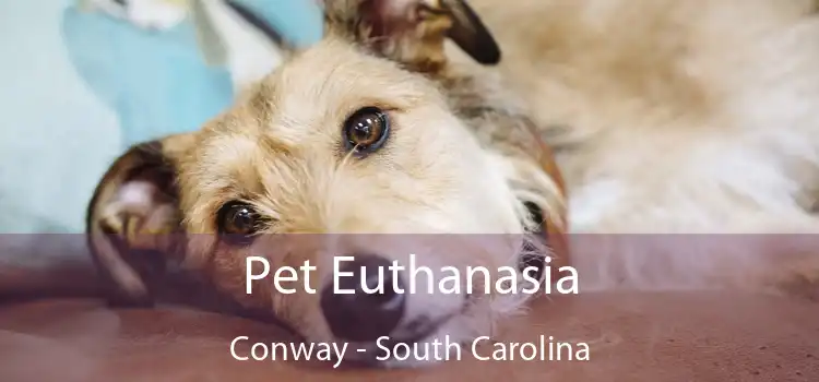 Pet Euthanasia Conway - South Carolina