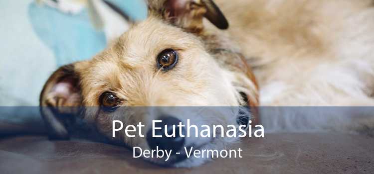 Pet Euthanasia Derby - Vermont