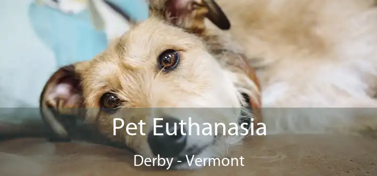 Pet Euthanasia Derby - Vermont