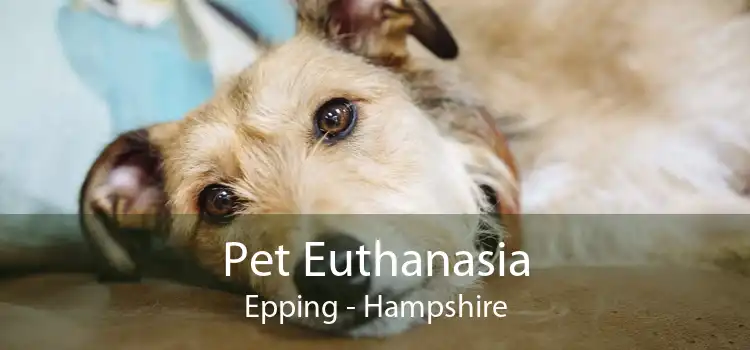 Pet Euthanasia Epping - Hampshire