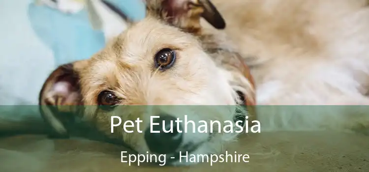 Pet Euthanasia Epping - Hampshire