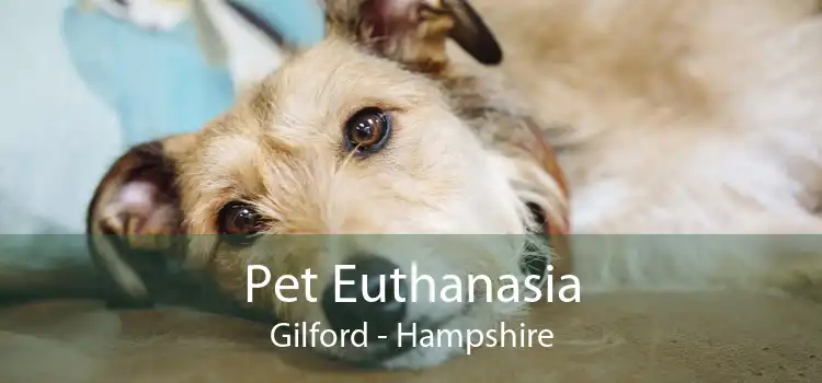 Pet Euthanasia Gilford - Hampshire