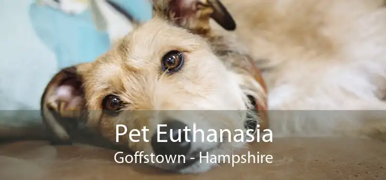 Pet Euthanasia Goffstown - Hampshire
