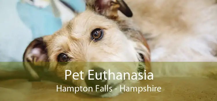 Pet Euthanasia Hampton Falls - Hampshire