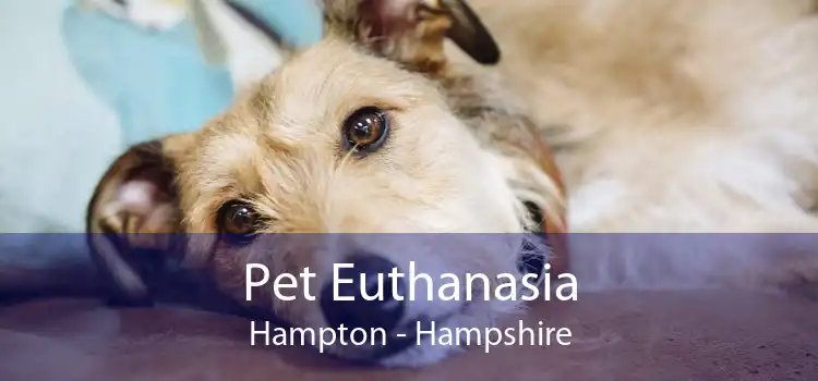 Pet Euthanasia Hampton - Hampshire