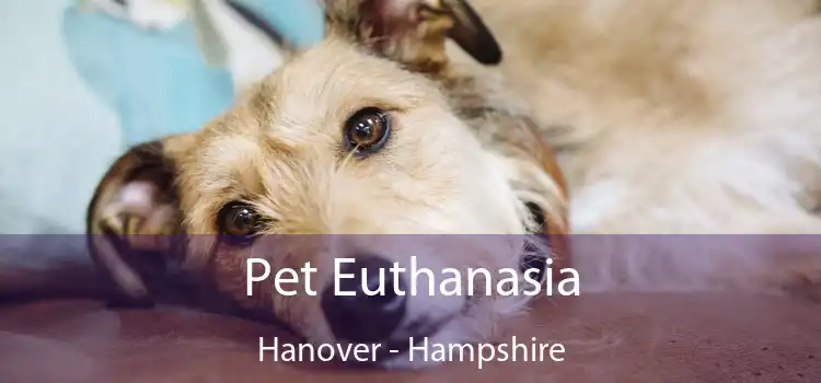 Pet Euthanasia Hanover - Hampshire