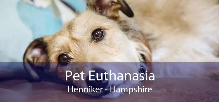 Pet Euthanasia Henniker - Hampshire