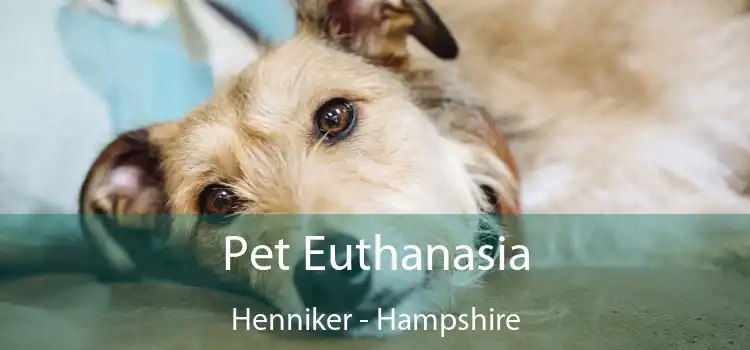 Pet Euthanasia Henniker - Hampshire