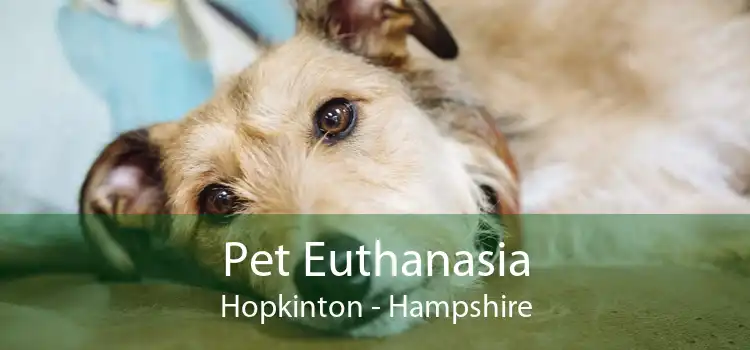 Pet Euthanasia Hopkinton - Hampshire