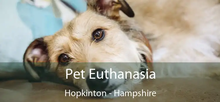 Pet Euthanasia Hopkinton - Hampshire