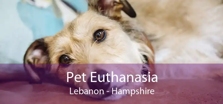 Pet Euthanasia Lebanon - Hampshire