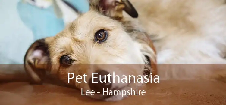 Pet Euthanasia Lee - Hampshire