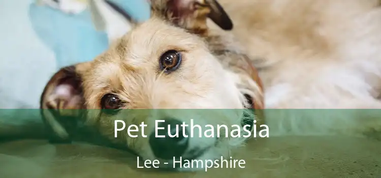 Pet Euthanasia Lee - Hampshire