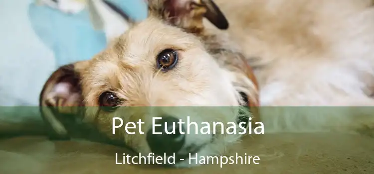 Pet Euthanasia Litchfield - Hampshire