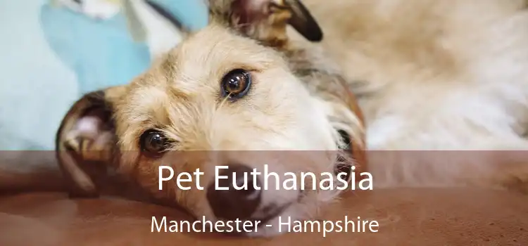 Pet Euthanasia Manchester - Hampshire