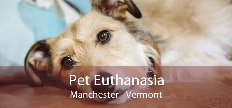 Pet Euthanasia Manchester - Vermont